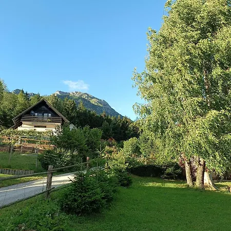 Kralj Matjaz - The Escape Under Alps *